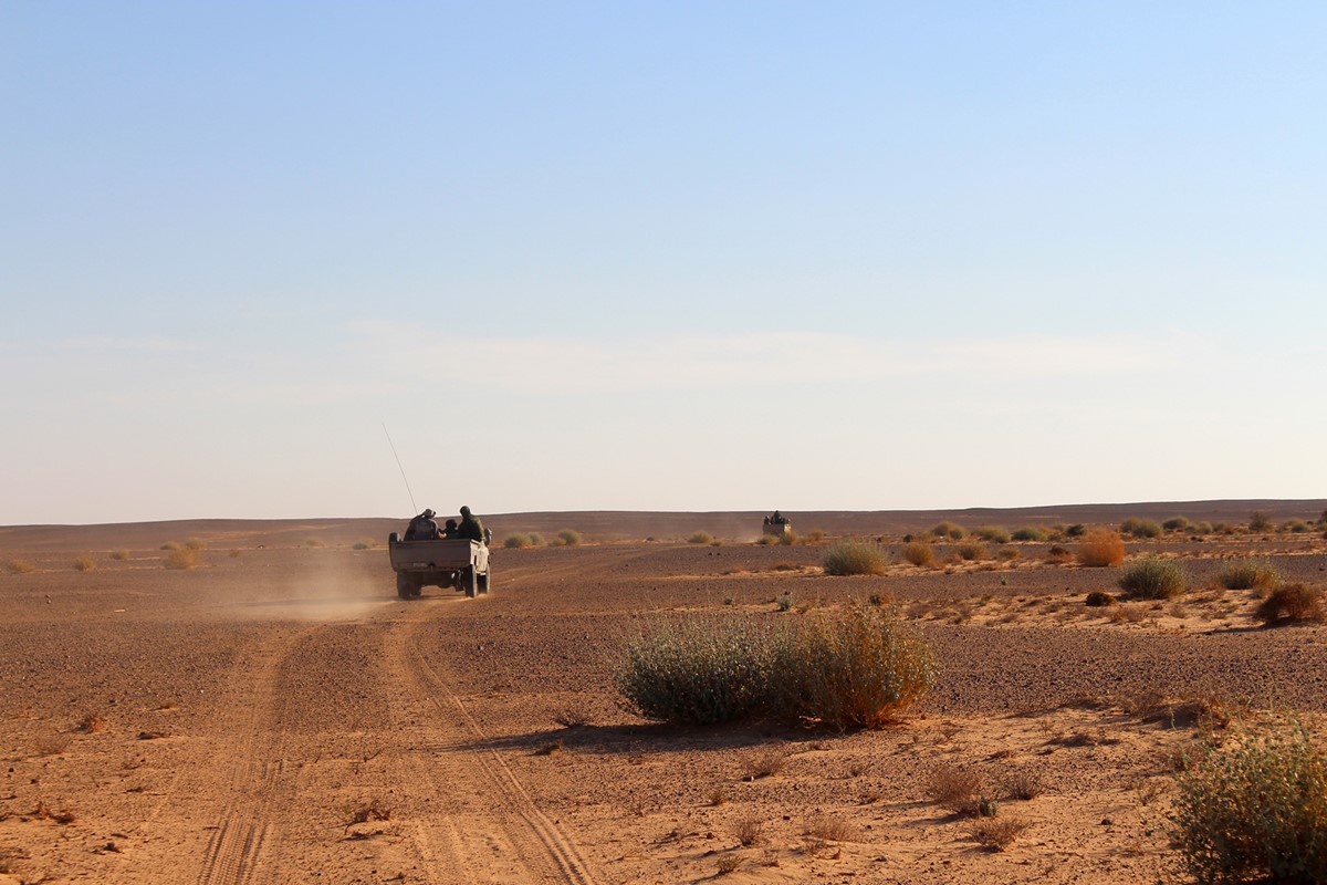 Essential Tips for Your Trip to Sahrawi arab democratic republic